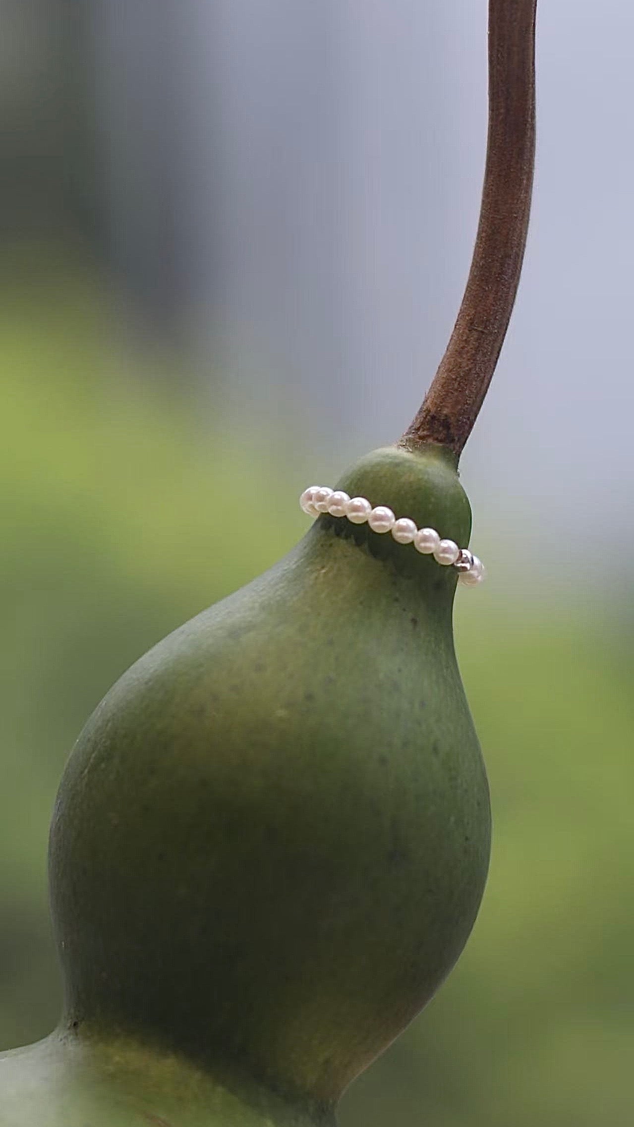 VeraPearl NewYork | The Ultra Glow Mini Pearl Ring | Silver Bead & Fine Natural Baby Pearls